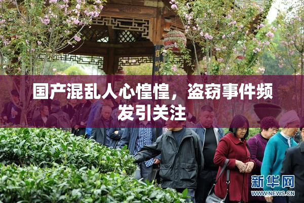 国产混乱人心惶惶，盗窃事件频发引关注