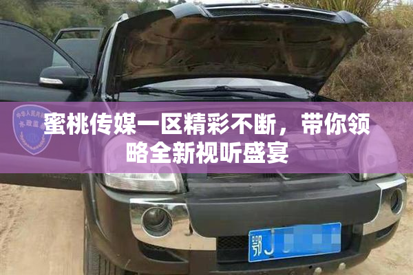 蜜桃传媒一区精彩不断，带你领略全新视听盛宴