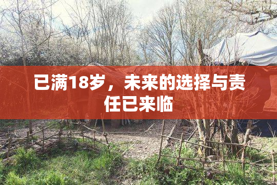 已满18岁，未来的选择与责任已来临