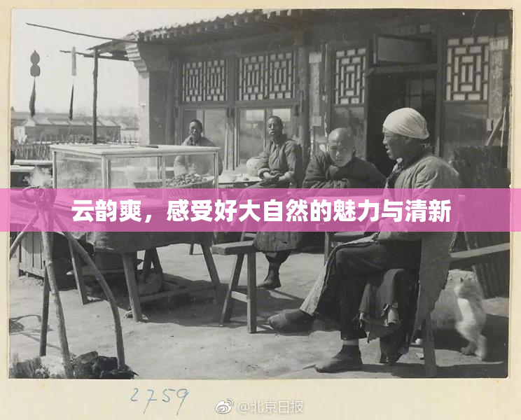 云韵爽，感受好大自然的魅力与清新