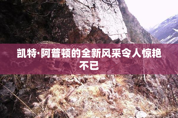 凯特·阿普顿的全新风采令人惊艳不已