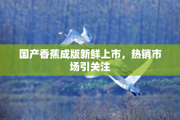 国产香蕉成版新鲜上市，热销市场引关注