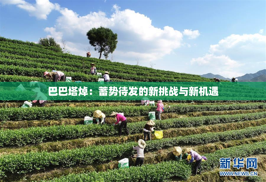 巴巴塔焯：蓄势待发的新挑战与新机遇