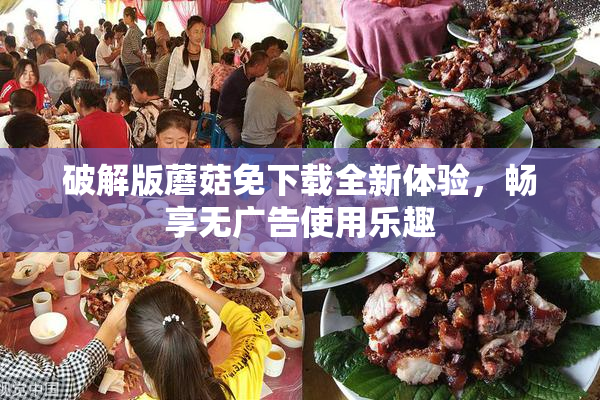 破解版蘑菇免下载全新体验，畅享无广告使用乐趣