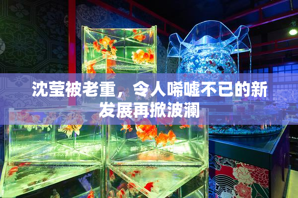 沈莹被老重，令人唏嘘不已的新发展再掀波澜