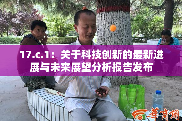 17.c.1：关于科技创新的最新进展与未来展望分析报告发布