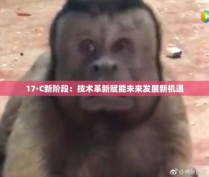 17·C新阶段：技术革新赋能未来发展新机遇