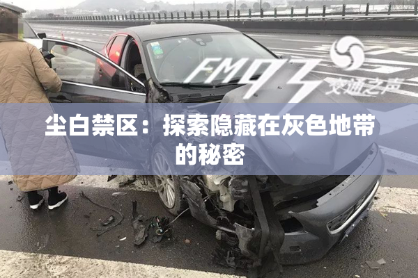 尘白禁区：探索隐藏在灰色地带的秘密