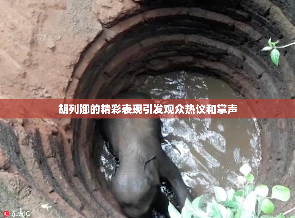 胡列娜的精彩表现引发观众热议和掌声