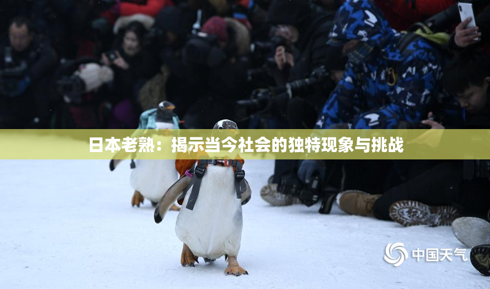 日本老熟：揭示当今社会的独特现象与挑战