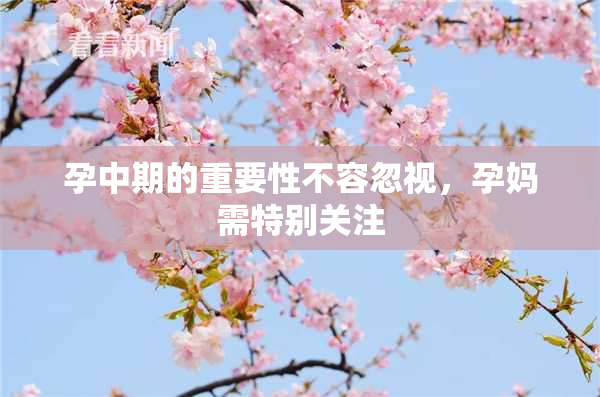 孕中期的重要性不容忽视，孕妈需特别关注