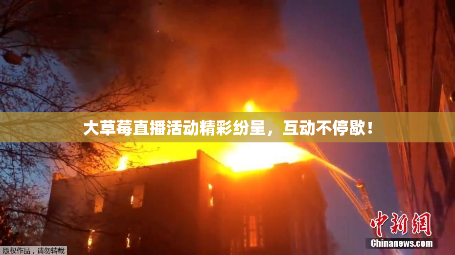 大草莓直播活动精彩纷呈，互动不停歇！