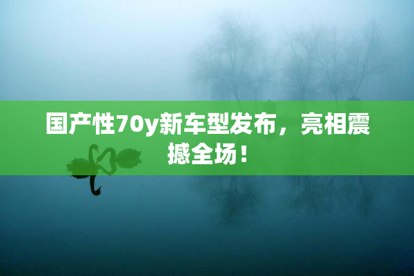 国产性70y新车型发布，亮相震撼全场！