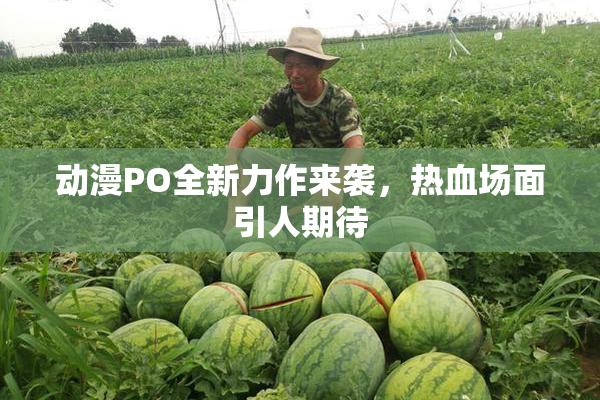 动漫PO全新力作来袭，热血场面引人期待