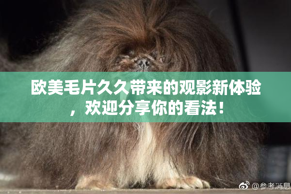 欧美毛片久久带来的观影新体验，欢迎分享你的看法！