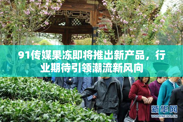 91传媒果冻即将推出新产品，行业期待引领潮流新风向