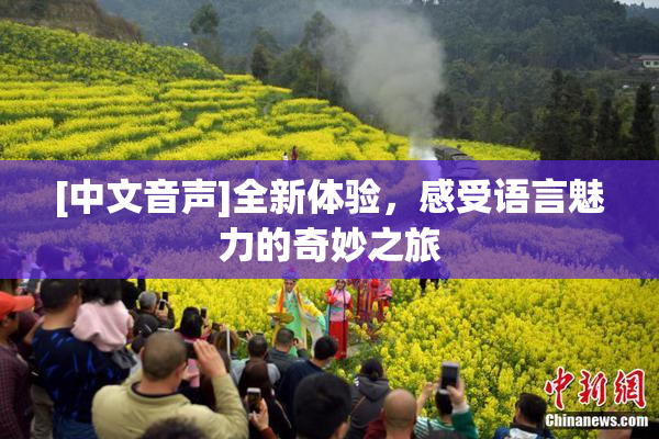 [中文音声]全新体验，感受语言魅力的奇妙之旅