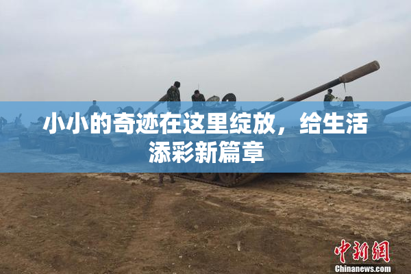 小小的奇迹在这里绽放，给生活添彩新篇章