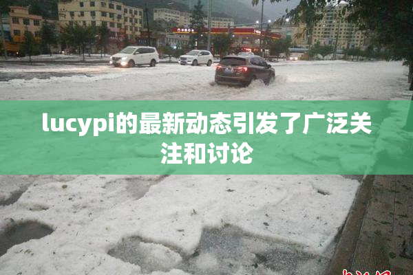 lucypi的最新动态引发了广泛关注和讨论