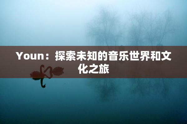 Youn：探索未知的音乐世界和文化之旅