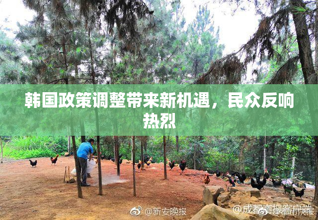 韩国政策调整带来新机遇，民众反响热烈