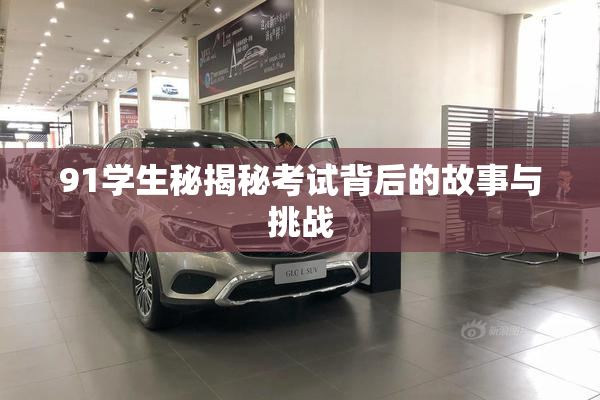 91学生秘揭秘考试背后的故事与挑战