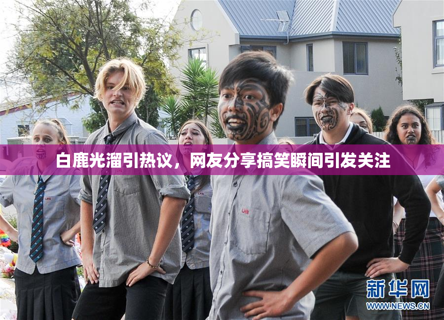 白鹿光溜引热议，网友分享搞笑瞬间引发关注
