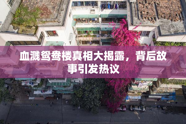 血溅鸳鸯楼真相大揭露，背后故事引发热议