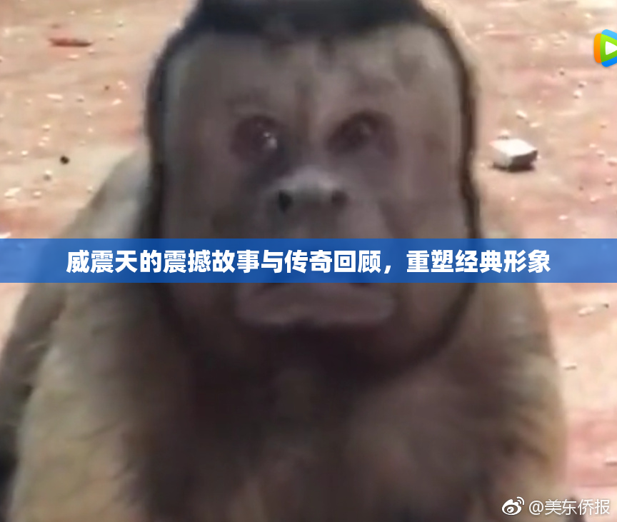 威震天的震撼故事与传奇回顾，重塑经典形象