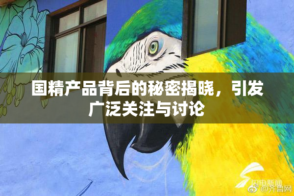 国精产品背后的秘密揭晓，引发广泛关注与讨论