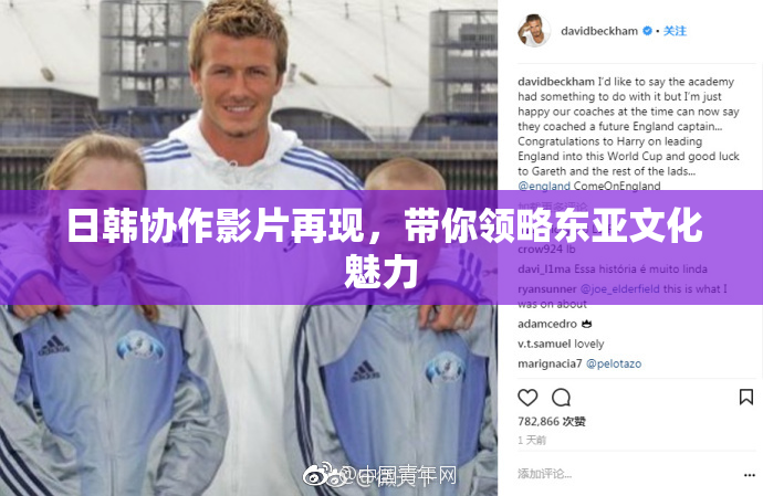 日韩协作影片再现，带你领略东亚文化魅力