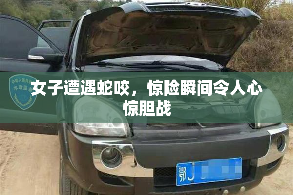 女子遭遇蛇咬，惊险瞬间令人心惊胆战