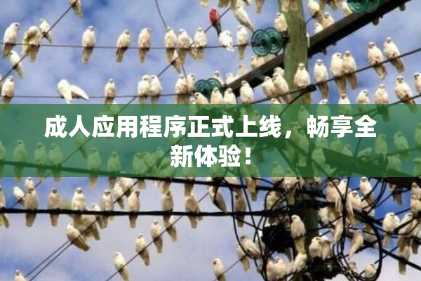 成人应用程序正式上线，畅享全新体验！