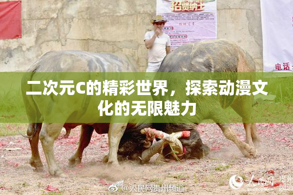 二次元C的精彩世界，探索动漫文化的无限魅力