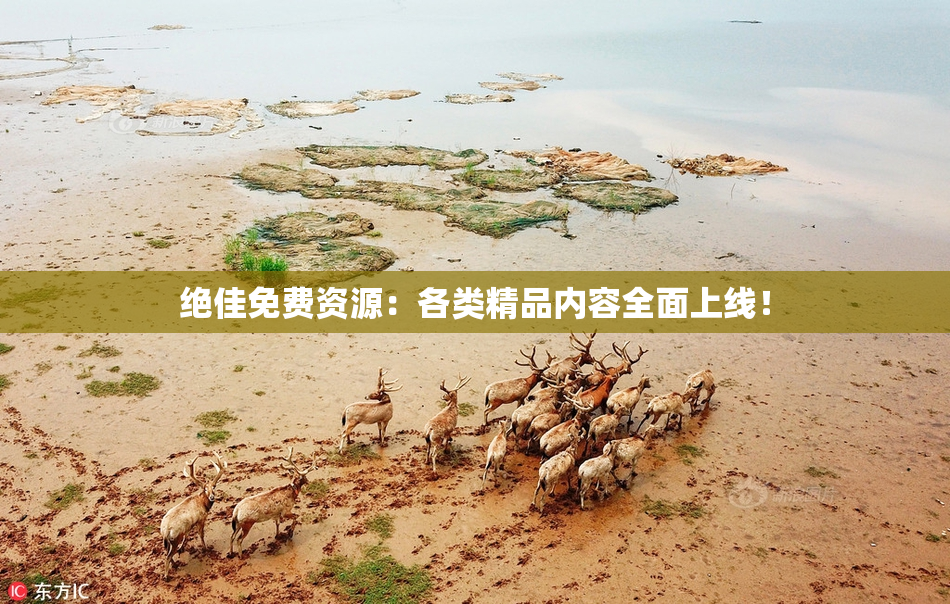 绝佳免费资源：各类精品内容全面上线！