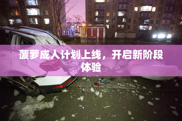 菠萝成人计划上线，开启新阶段体验