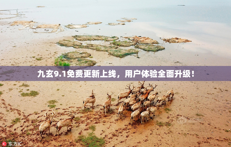 九玄9.1免费更新上线，用户体验全面升级！
