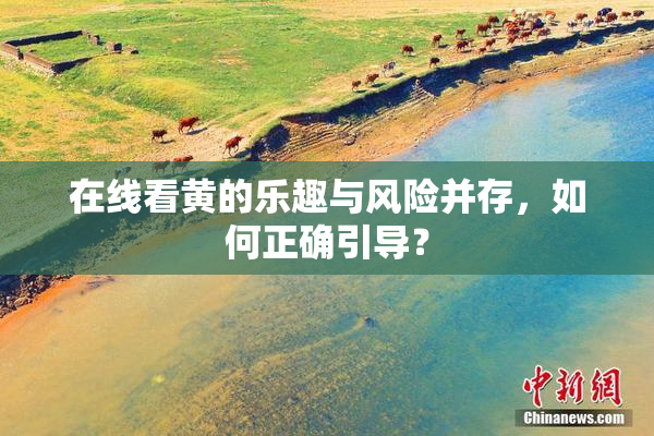 在线看黄的乐趣与风险并存，如何正确引导？