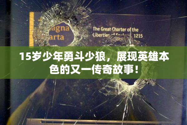 15岁少年勇斗少狼，展现英雄本色的又一传奇故事！