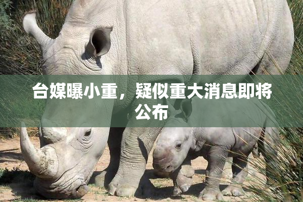 台媒曝小重，疑似重大消息即将公布