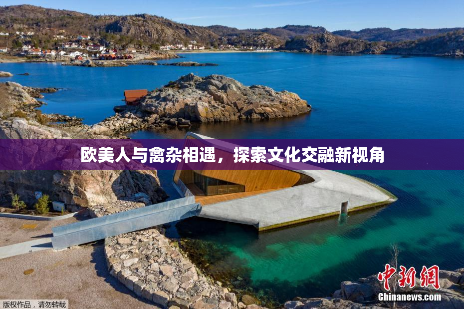 欧美人与禽杂相遇，探索文化交融新视角
