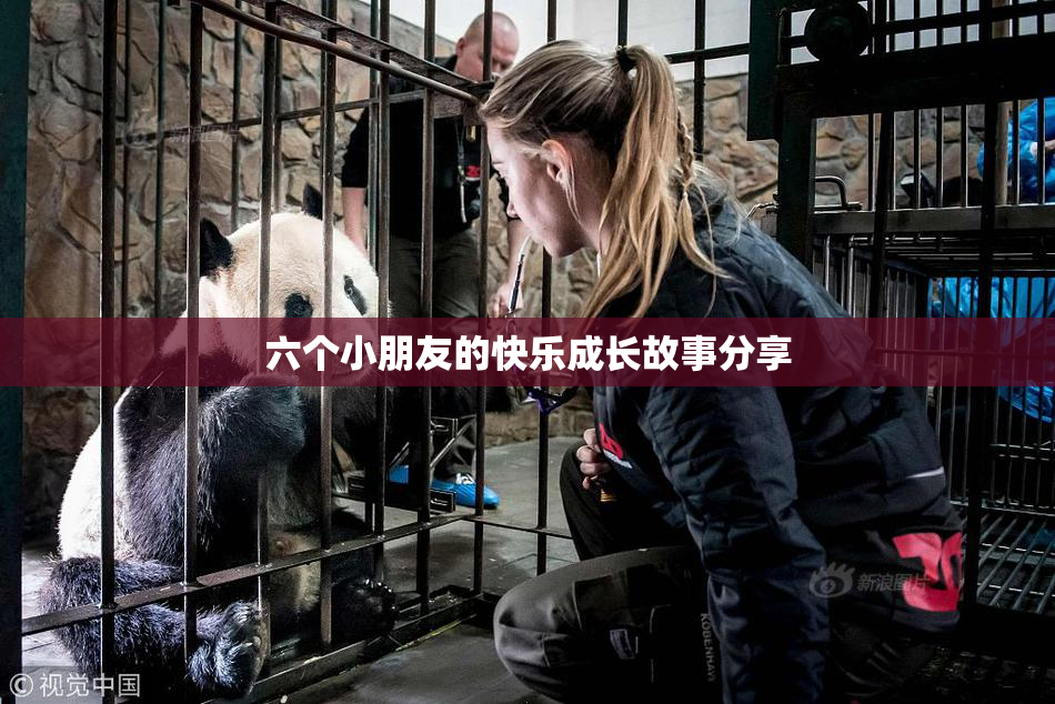 六个小朋友的快乐成长故事分享