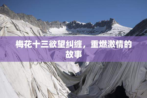 梅花十三欲望纠缠，重燃激情的故事