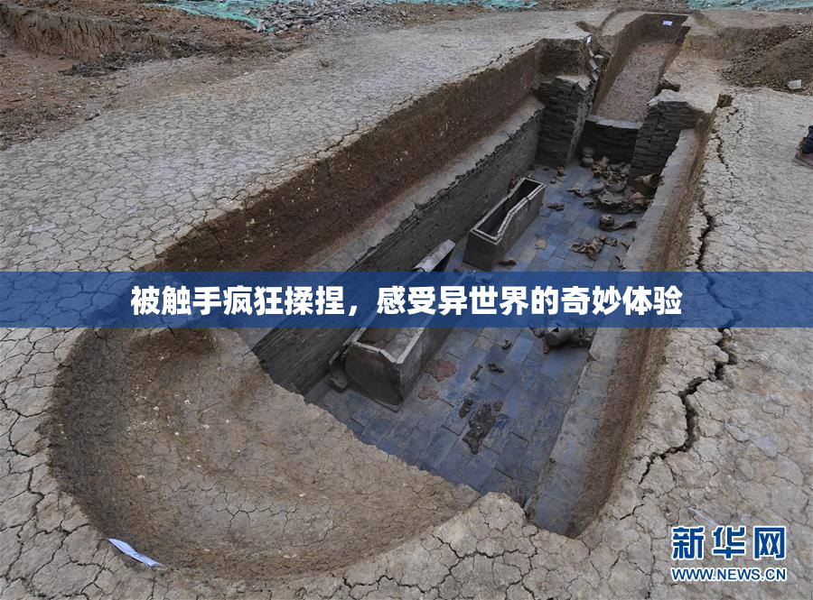 被触手疯狂揉捏，感受异世界的奇妙体验