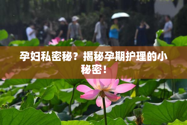 孕妇私密秘？揭秘孕期护理的小秘密！