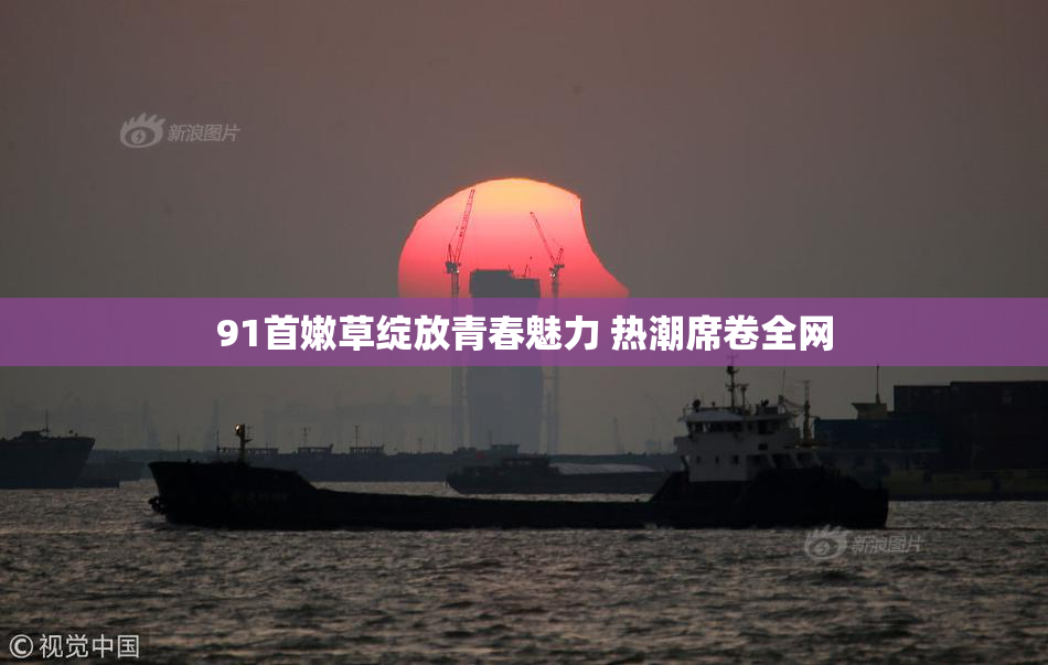 91首嫩草绽放青春魅力 热潮席卷全网