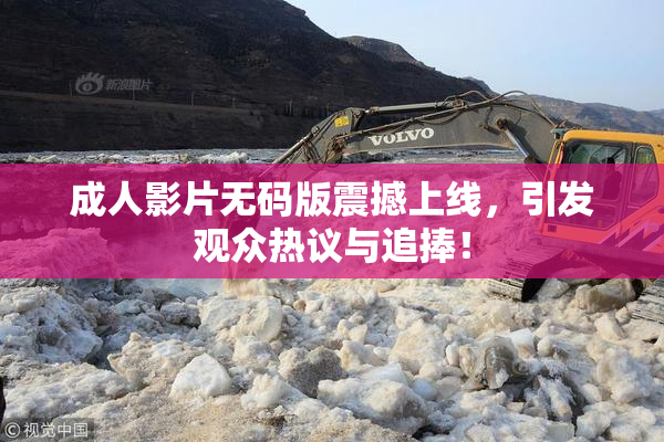 成人影片无码版震撼上线，引发观众热议与追捧！