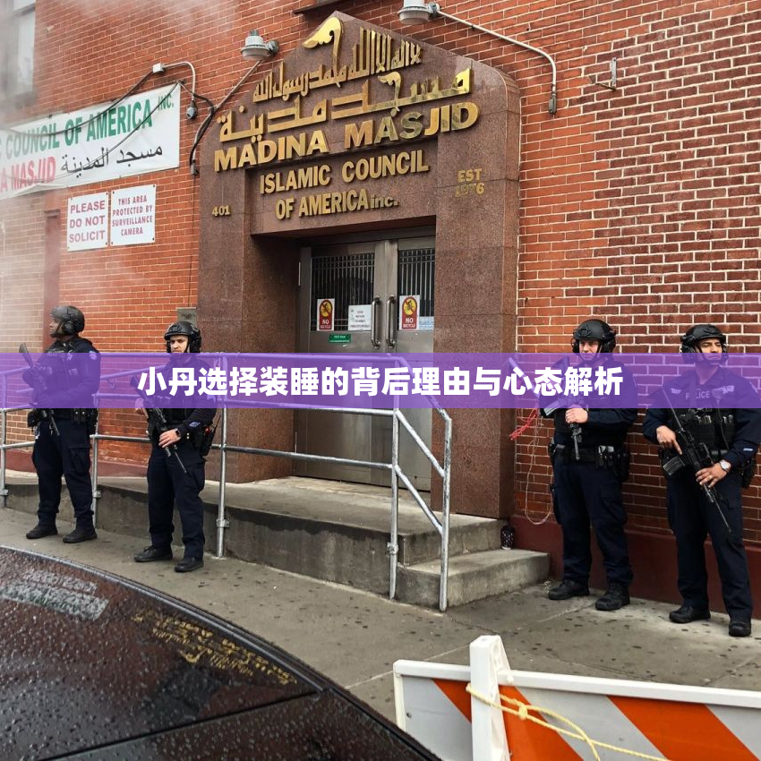 小丹选择装睡的背后理由与心态解析