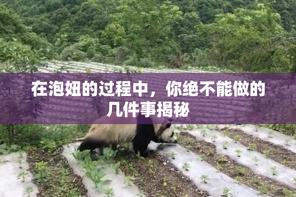 在泡妞的过程中，你绝不能做的几件事揭秘