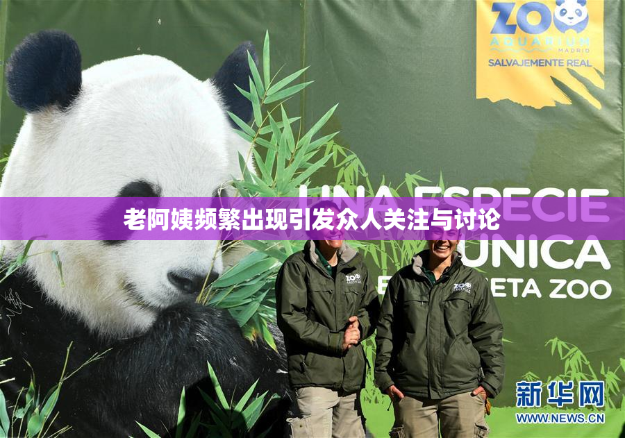 老阿姨频繁出现引发众人关注与讨论